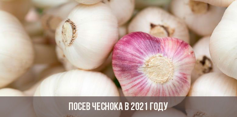 Кракен тг маркетплейс